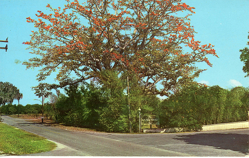 postcard